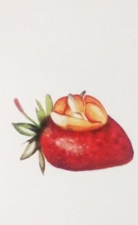 手稿精致的草莓纹身图案