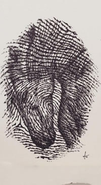 手稿指纹的马儿纹身图案