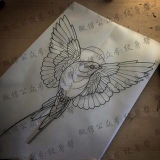 手稿线条的鸟纹身图案