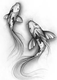 手稿一款素色鲤鱼纹身图案