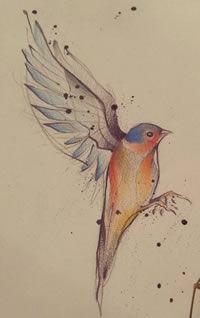 手稿的彩绘素描鸟纹身图案