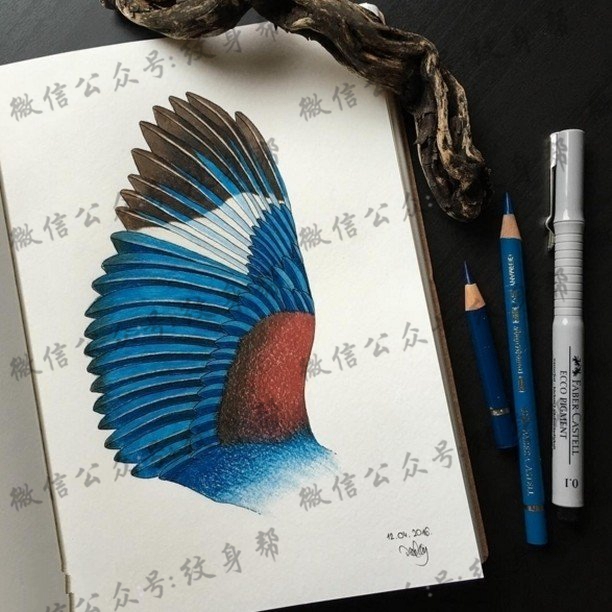 手稿彩绘的翅膀纹身图案