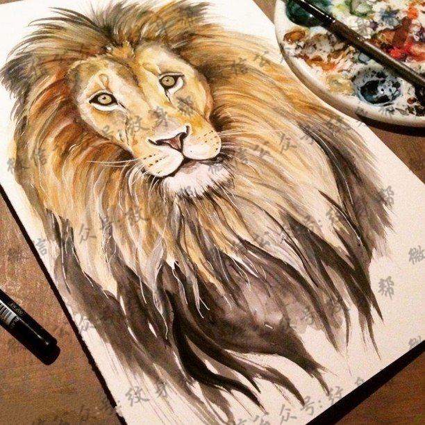 手稿彩绘大狮子纹身图案