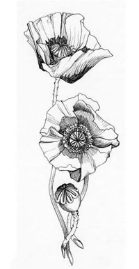 手稿漂亮的素色花朵纹身图案