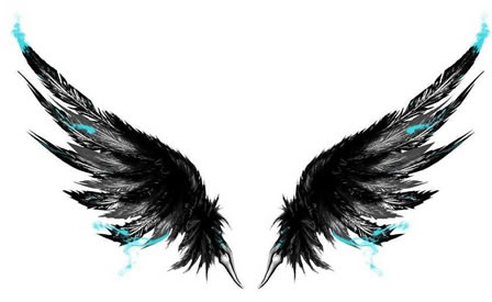 手稿大气漂亮的翅膀纹身图案