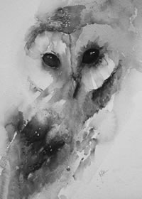 手稿水墨猫头鹰纹身图案