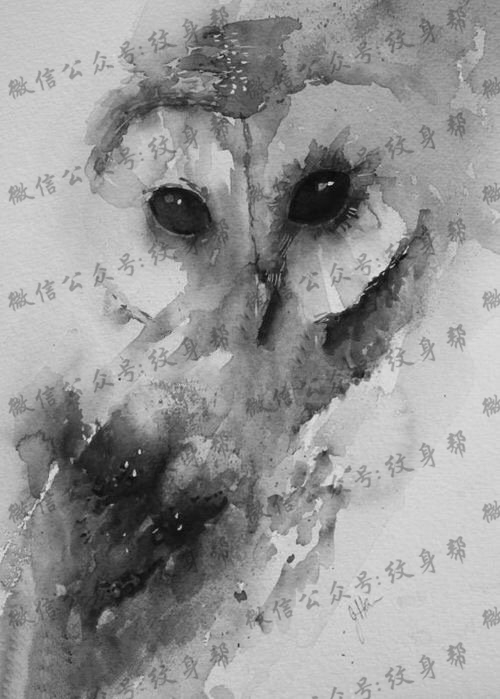 手稿水墨猫头鹰纹身图案