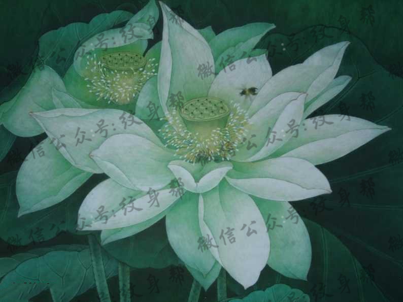 手稿一款清新典雅的荷花纹身图案