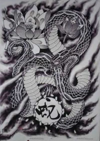 手稿徘徊在荷花边的大蛇图案