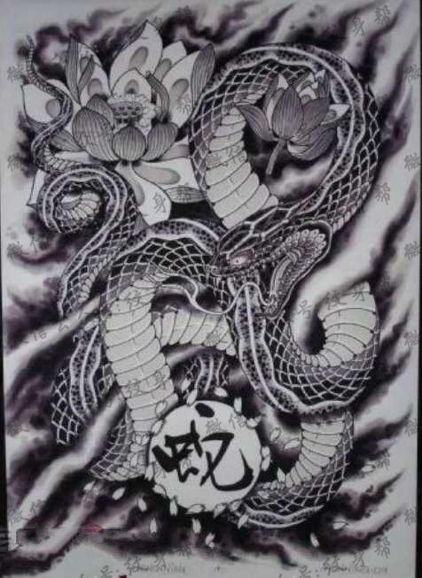 手稿徘徊在荷花边的大蛇图案