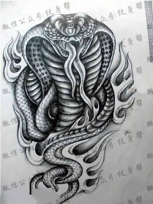 手稿一款很恐怖的蛇纹身图案