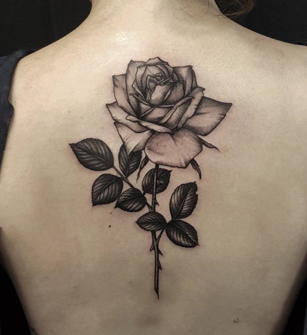 纹身玫瑰花   含蕾欲放的玫瑰花纹身图案