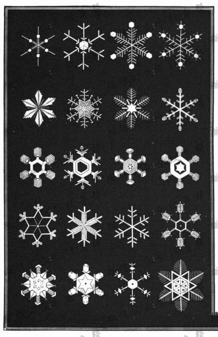 一套简约雪花纹身手稿图案