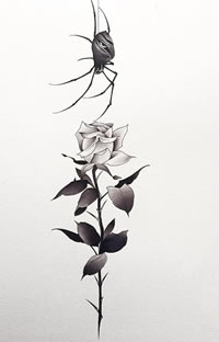 school玫瑰蜘蛛纹身图案手稿