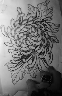 school菊花传统纹身图案手稿