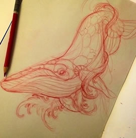 鲸鱼纹身图案tattoo手稿