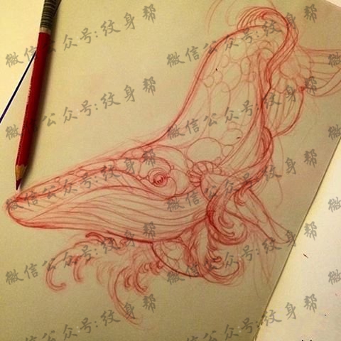 鲸鱼纹身图案tattoo手稿