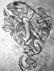 欧美变色龙纹身图案手稿