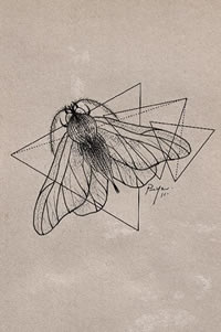 欧美蜜蜂几何线条纹身图案手稿