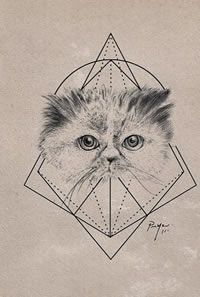 欧美小清新猫几何线条纹身图案手稿