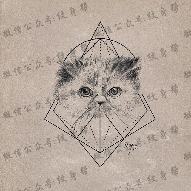 欧美小清新猫几何线条纹身图案手稿