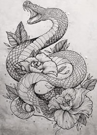 欧美蛇 玫瑰纹身图案手稿