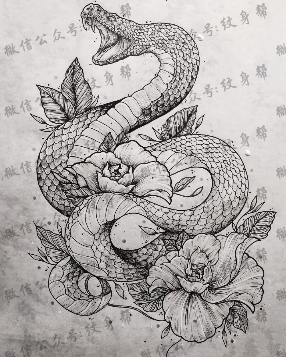 欧美蛇 玫瑰纹身图案手稿