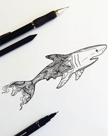 鲨鱼线条纹身图案手稿