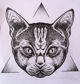 欧美school猫点刺纹身图案手稿
