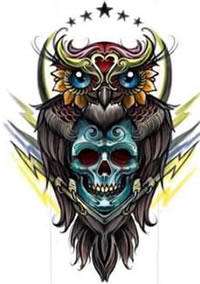 欧美school猫头鹰骷髅纹身图案手稿