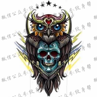 欧美school猫头鹰骷髅纹身图案手稿