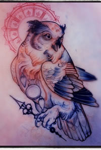 欧美猫头鹰school纹身图案手稿