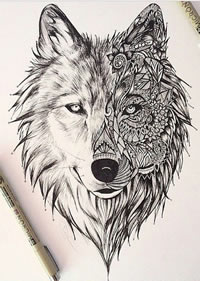 欧美狼头欧美黑灰纹身图案手稿