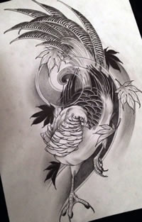 欧美黑灰孔雀纹身图案手稿