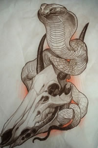 欧美眼镜蛇羊头纹身图案手稿