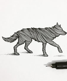 小清新线条狼纹身图案手稿