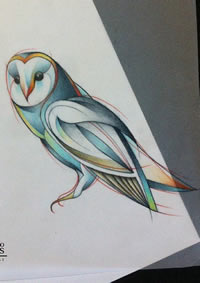 欧美猫头鹰彩色纹身图案手稿