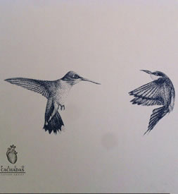 小清新点刺蜂鸟纹身图案手稿