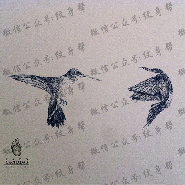 小清新点刺蜂鸟纹身图案手稿