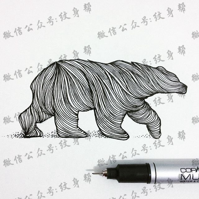 小清新线条熊纹身图案手稿