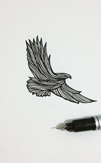 小清新线条老鹰纹身图案手稿