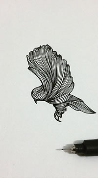 小清新鸽子线条纹身图案手稿