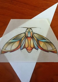 欧美彩色小清新飞蛾纹身图案手稿