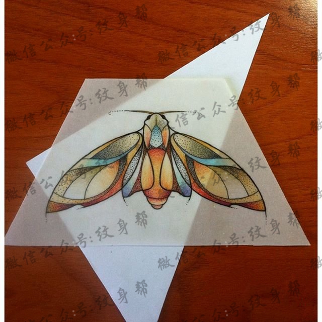 欧美彩色小清新飞蛾纹身图案手稿