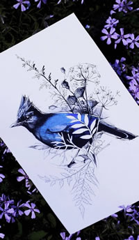 欧美鸟小清新彩色纹身图案手稿