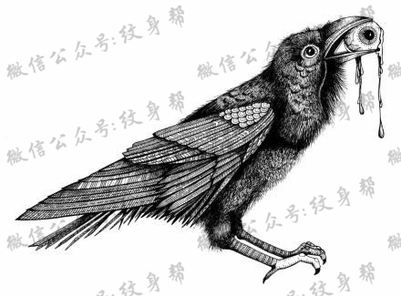 动物黑白插画_27张黑白动物插画纹身手稿图案