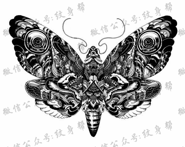 动物黑白插画_27张黑白动物插画纹身手稿图案