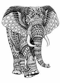 动物黑白插画_27张黑白动物插画纹身手稿图案