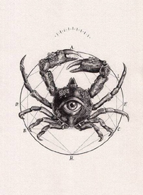 几何动物手稿_9张创意动物几何纹身手稿图案素材