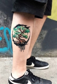 小腿纹身 个性创意的小腿纹身图案缩略频道推荐图